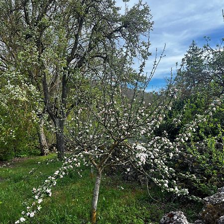 El Pecu Casa Rural Starfamiliar Bustillo Del Paramo 外观 照片