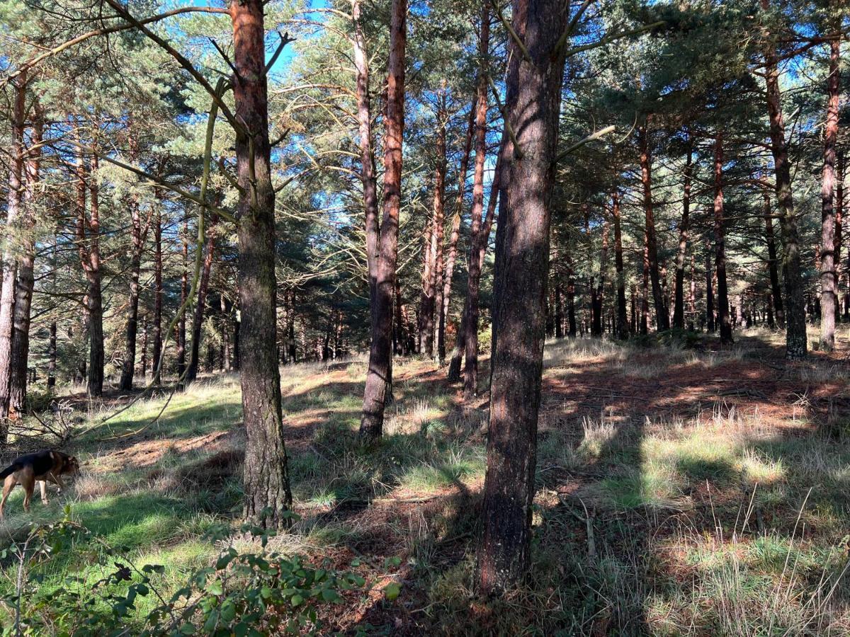 El Pecu Casa Rural Starfamiliar Bustillo Del Paramo 外观 照片