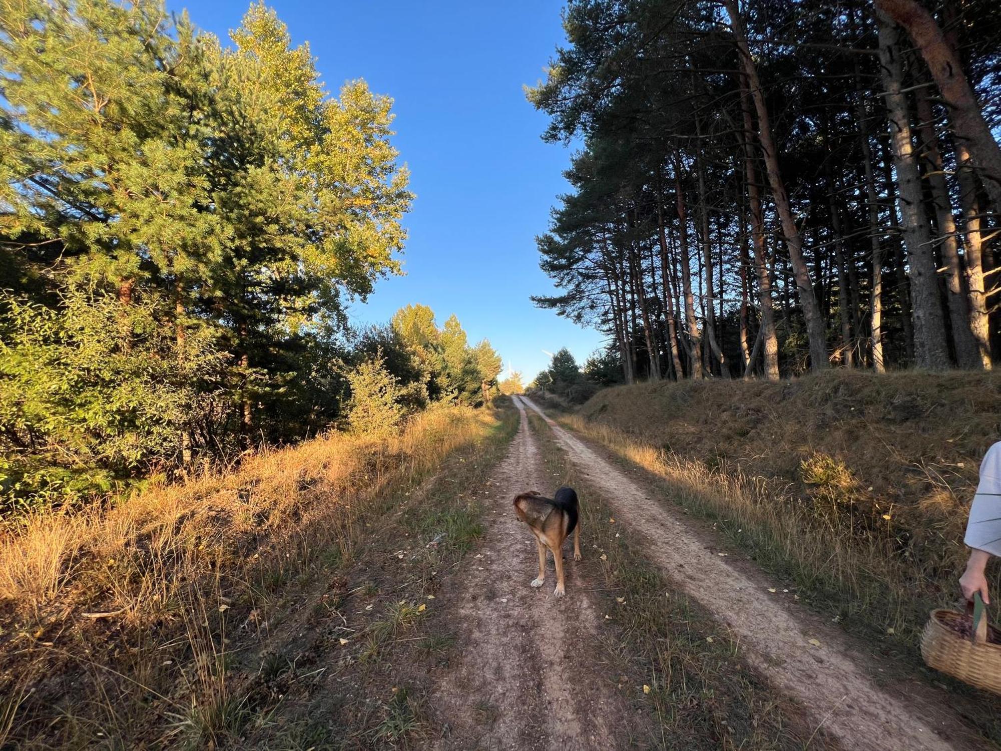 El Pecu Casa Rural Starfamiliar Bustillo Del Paramo 外观 照片