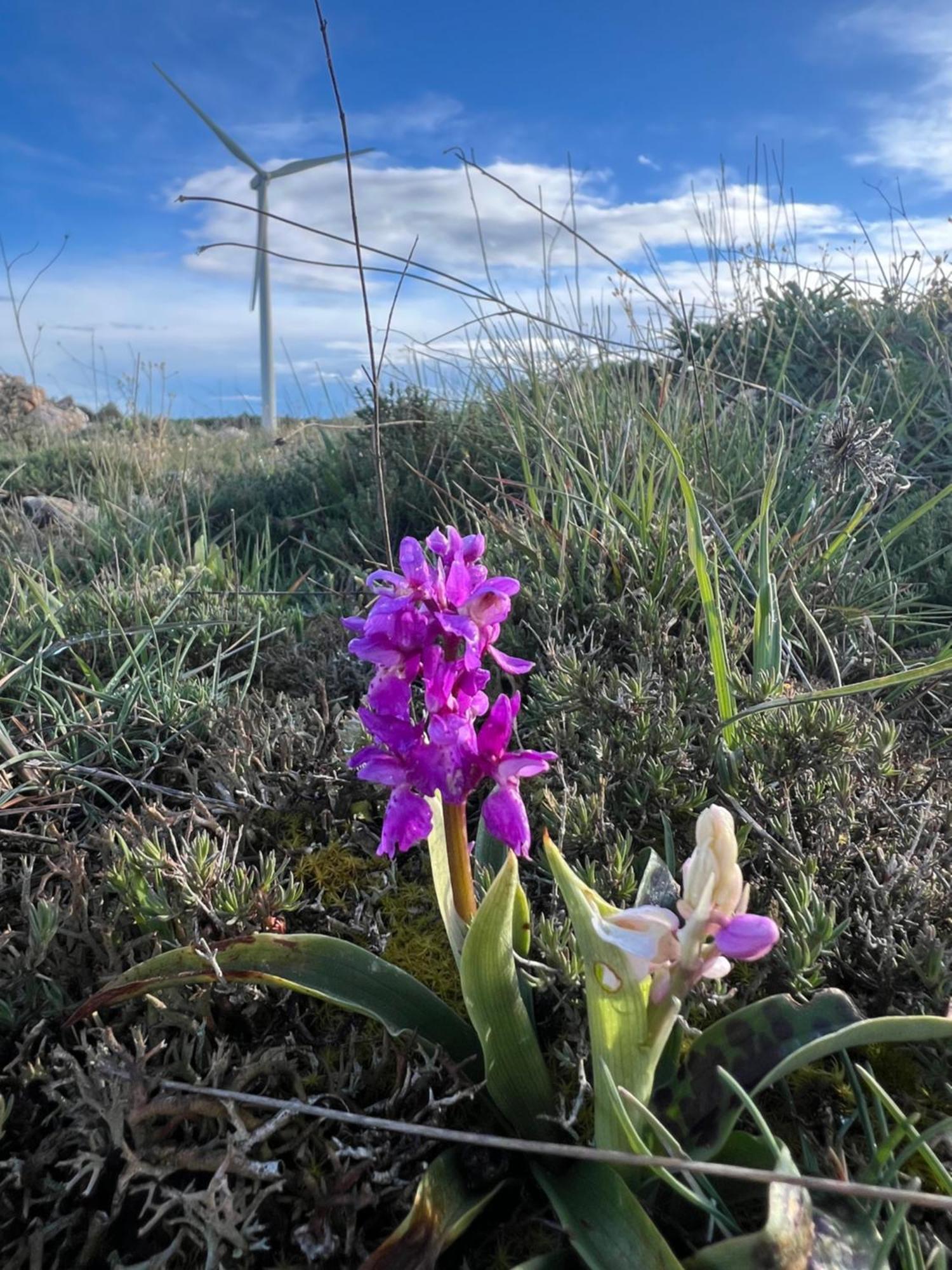 El Pecu Casa Rural Starfamiliar Bustillo Del Paramo 外观 照片